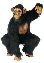 Chimp Costume - Comical