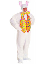 Easter Bunny Costume, Animal Fancy Dress
