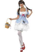 Light Up Dorothy Costume, Wizard of Oz Fancy Dress