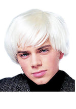Artist Platinum Deluxe Wig, Andy Warhol's