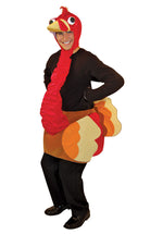 Lightweight Adult Turkey Costume
