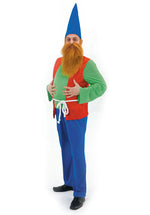 Dopey Gnome Costume, Funny Fancy Dress