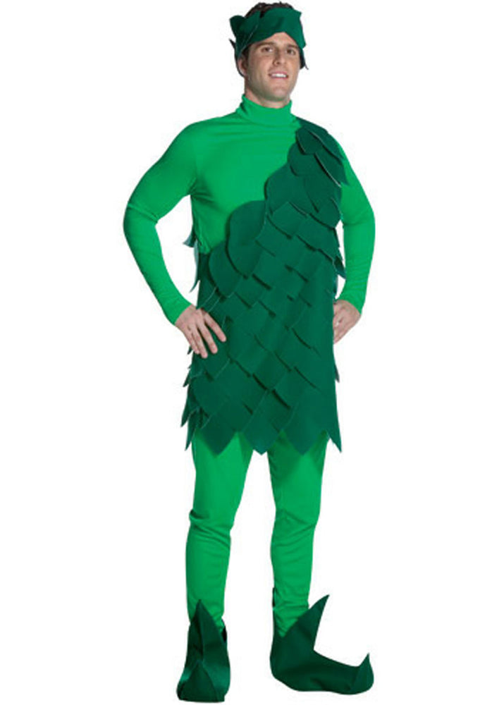 Green Giant Costume, Vegetable Fancy Dress