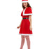 Adult Miss Santa Costume44834