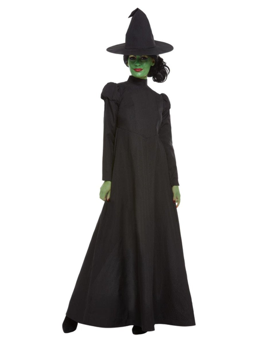 Wicked Witch Costume