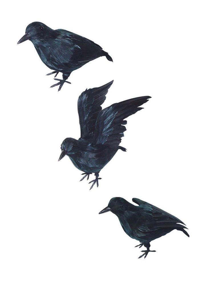 Realistic Small Crows Asst