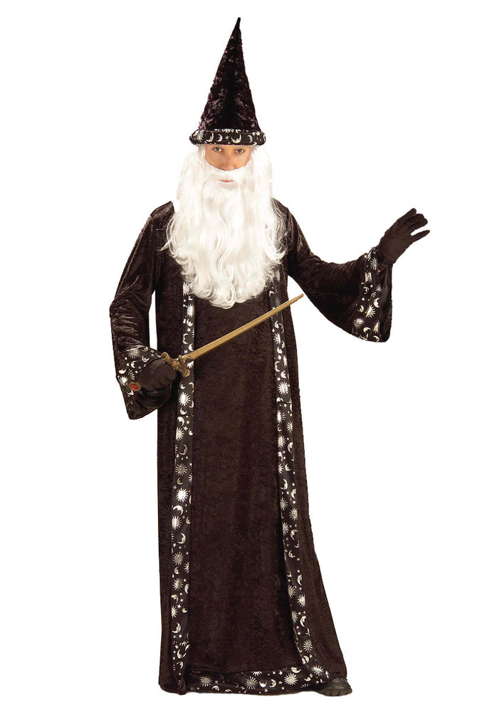 Oh Mr Wizard Costume