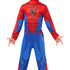 Boys Spiderman Costume