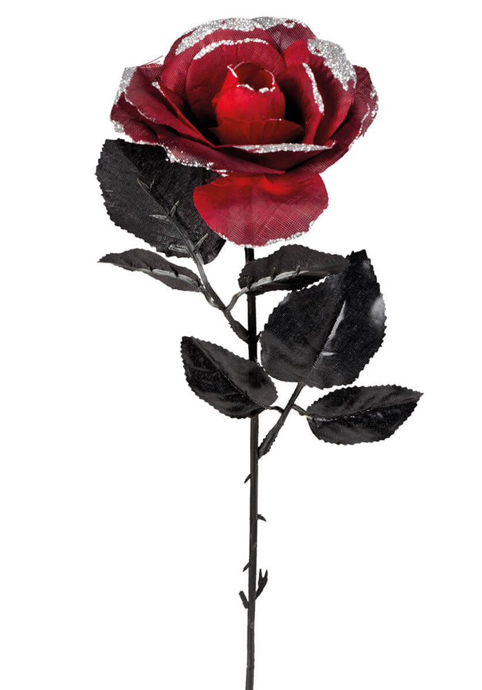 Flower Red Rose