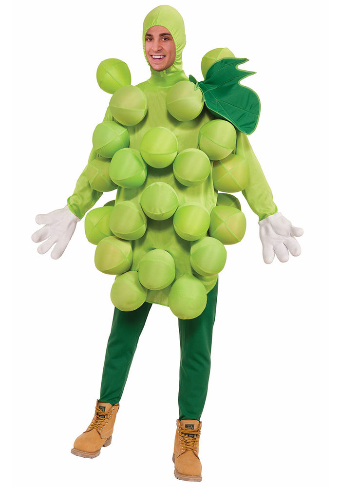 Green Grapes Fruit Dress up Costume Fancy Dress