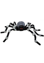Hairy Spider XL 75cm x 125cm