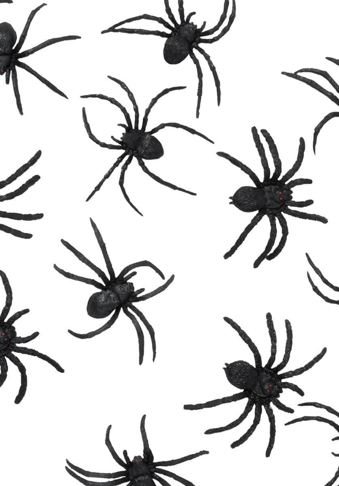 Black Spiders Set of 12