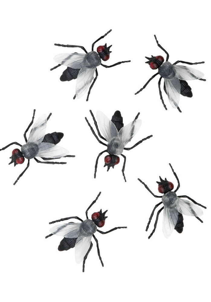 Flies Set of 6