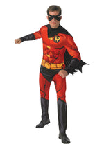 Adult Comic Book Robin Costume