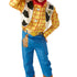 Toy Story Adult Deluxe Woody Costume