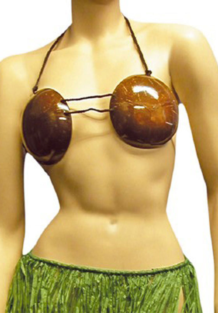 4 Pcs Coconut Bra Hula Skirt Set Coconut Bra and Grass Skirt Coconut Bra  Adult Size Flower Waist Grass Skirt Coconut Shell Bra Bikini Hawaiian
