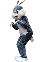 Rabbit Costume Grey J41