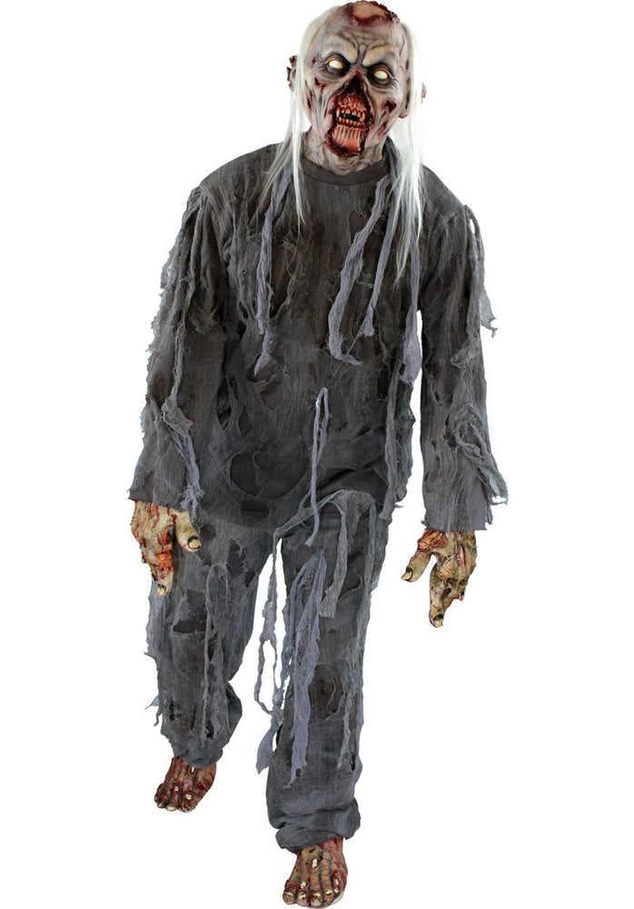 Rotting Zombie Costume, by Ghoulish