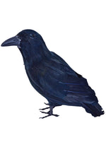 Feathered Raven Bird Accessory