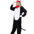 Dr Seuss Cat in the Hat Costume, Adult