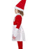 Elf on the Shelf Girl Costume52241