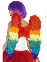 Feather Wings Rainbow 60cm x 60cm