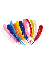 Indian Feathers - Set of 12