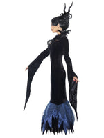 Lady Raven Costume43724