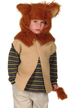 Lion Costume, Child, Animal Fancy Dress