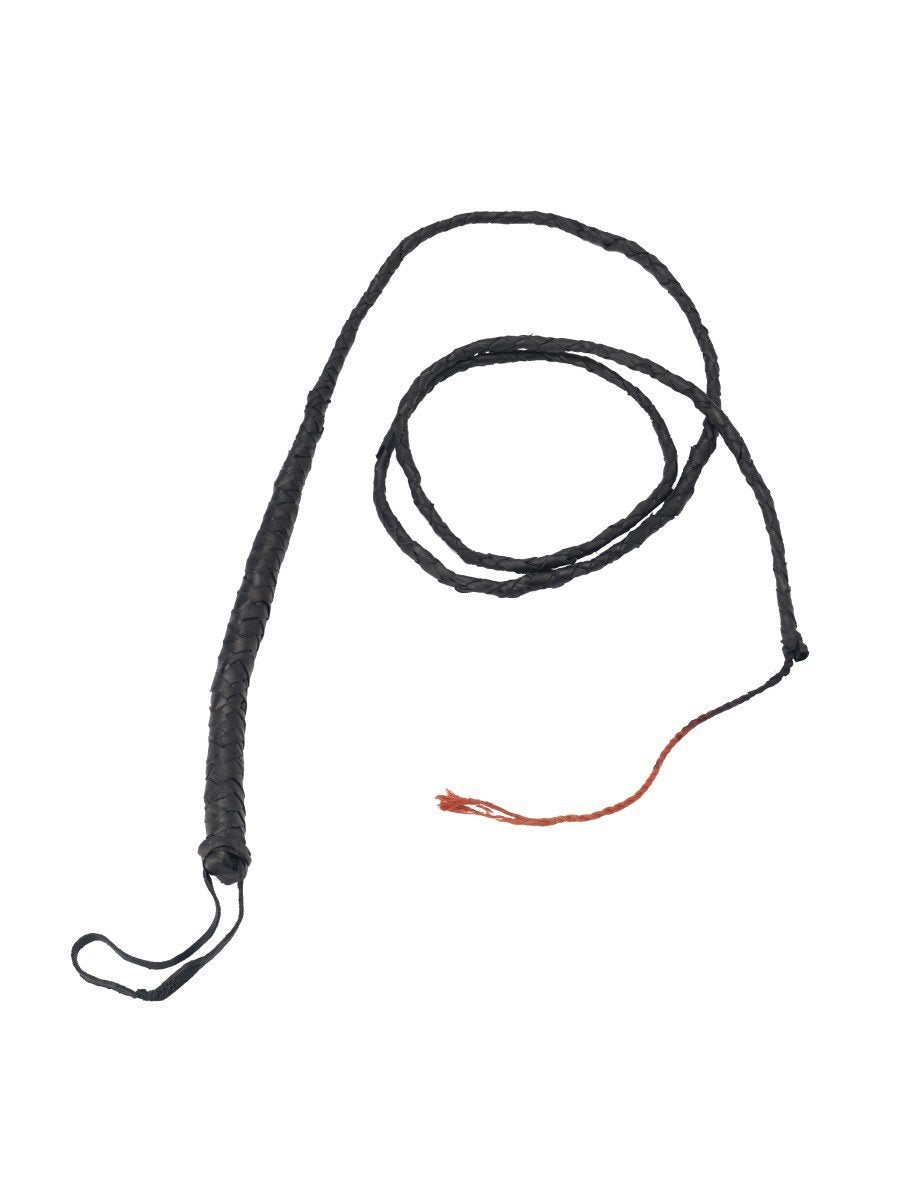 Long Leather Whip