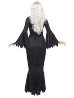 Vamp Costume Black Gown And Veil