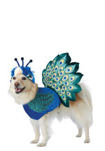 Pretty As A Peacock Pet Costume