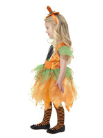 Pumpkin Fairy Costume35673