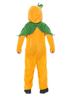 Pumpkin Toddler Costume