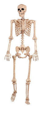 5ft Pose and Hold Skeleton