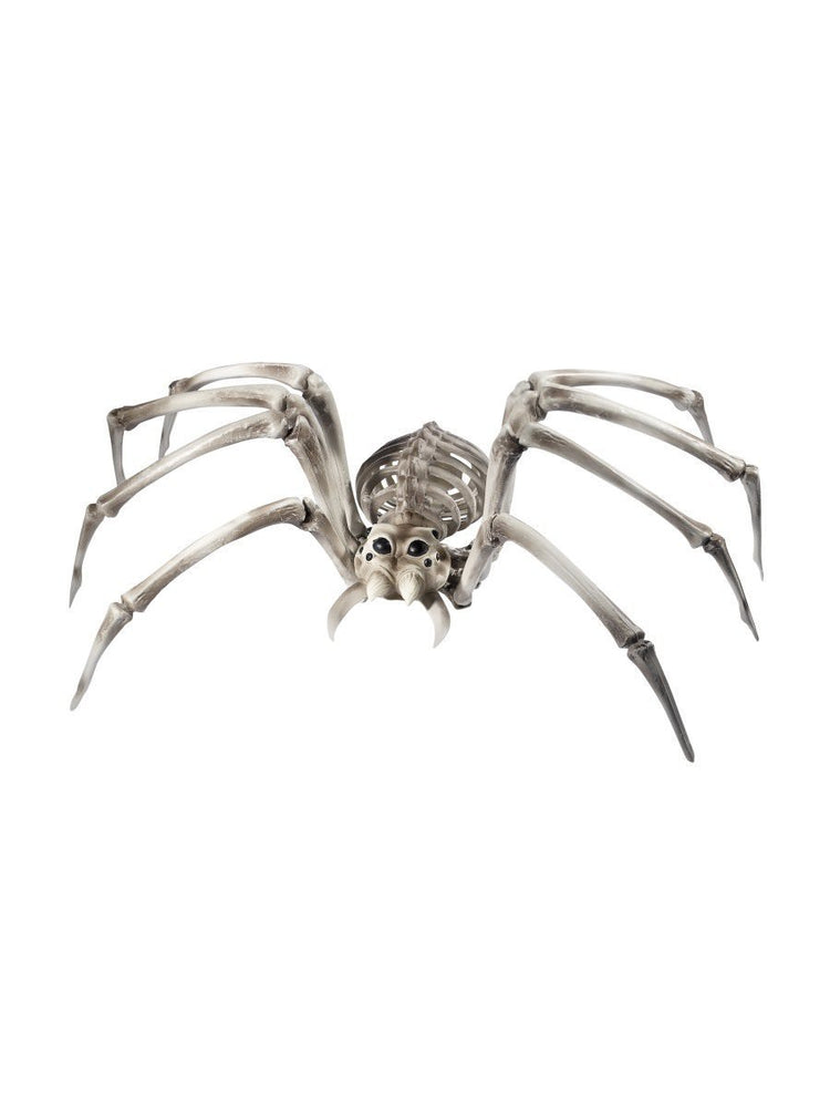Spider Skeleton Prop46911