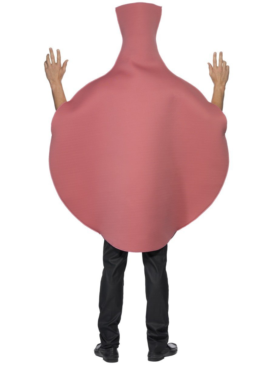 Whoopie Cushion Costume
