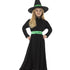 Wicked Witch Costume